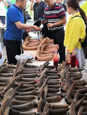 這些繁殖場哪個口碑最好？ 這些繁殖場哪個口碑最好？ 龍魚百科 第7張
