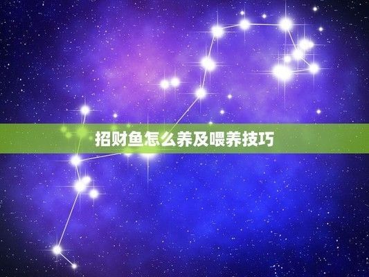 龍魚和招財魚：龍魚和招財魚混養(yǎng)注意事項龍魚招財魚風(fēng)水寓意解析 龍魚和招財魚：龍魚和招財魚混養(yǎng)注意事項龍魚招財魚風(fēng)水寓意解析 龍魚百科 第4張