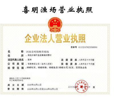 龍魚經營許可證：龍魚養殖經營許可證辦理流程