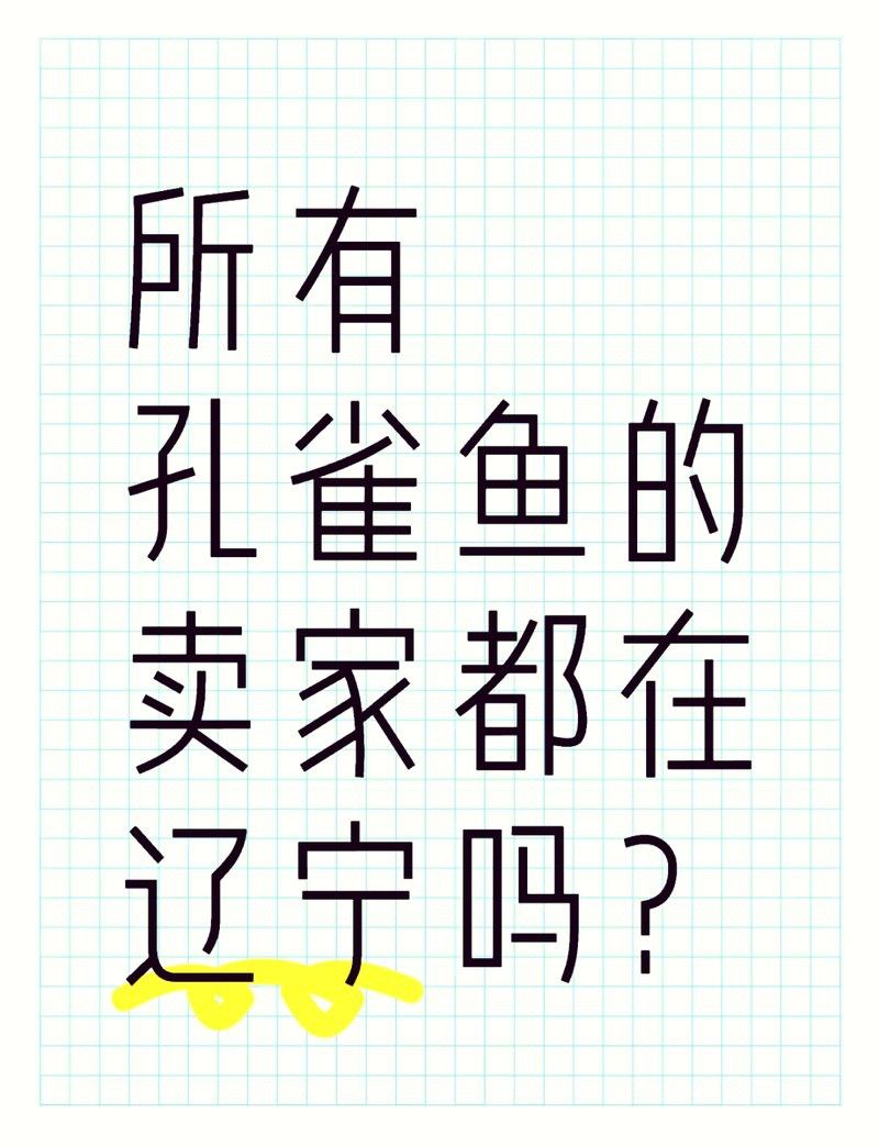 沈陽龍魚批發(fā)市場在哪里啊多少錢