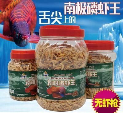 金龍魚吃鸚鵡飼料可以嗎：金龍魚可以吃鸚鵡飼料嗎