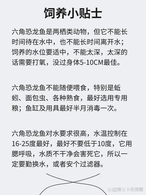 六角恐龍魚的壽命圖