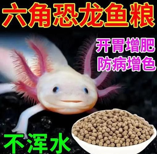 六角恐龍魚的壽命圖