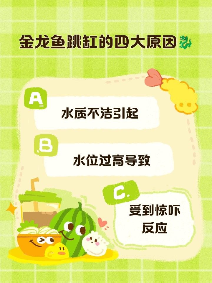 金龍魚頂缸蓋子怎么了
