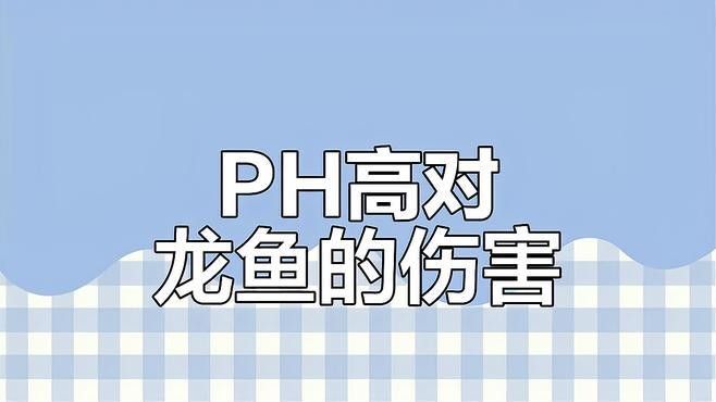 龍魚一會趴缸一會游來游去正常嗎