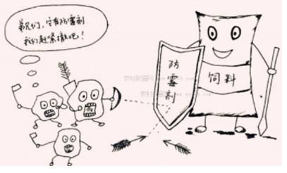 龍魚吃不吃魚：龍魚在自然環境中會捕食小魚嗎？ 龍魚吃不吃魚：龍魚在自然環境中會捕食小魚嗎？ 龍魚百科 第2張