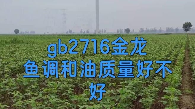 金龍魚稻谷鮮生食用植物調(diào)和油