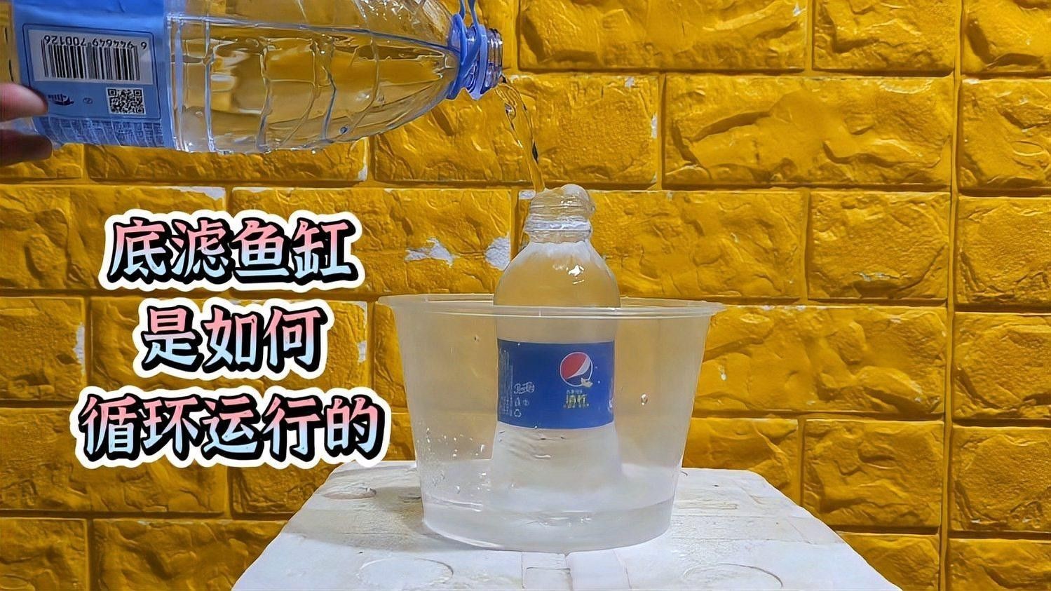 西龍魚缸底濾過濾原理 西龍魚缸底濾過濾原理 龍魚百科 第2張