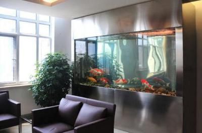 龍魚缸的燈放什么位置好：養(yǎng)龍魚時，魚缸燈最適合放在與水面平行光線和魚缸成45度角的位置