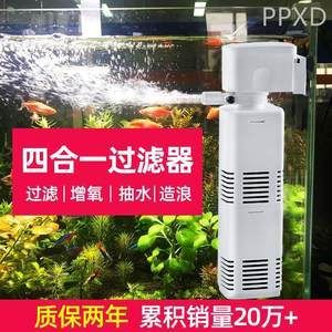 金龍魚品級
