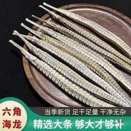 海龍魚貴嗎 海龍魚貴嗎 龍魚百科 第12張