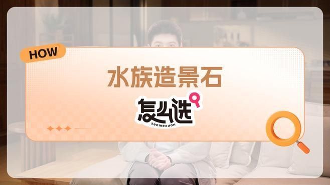 龍魚虎魚魚缸里擺放什么東西最好看呢