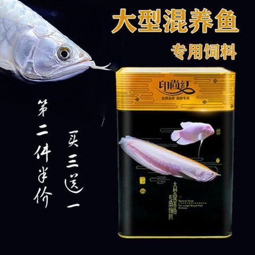 紅龍魚只吃活魚不吃蝦可以嗎（紅龍魚只吃活食不吃冰蝦怎么辦360問答）