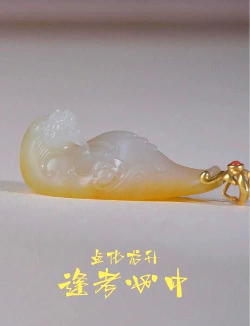 小玉龍魚圖片大全大圖