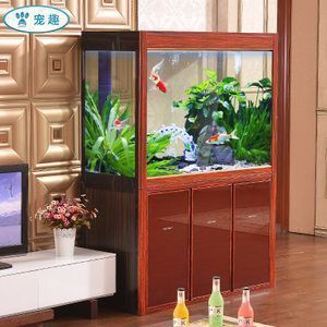 薩伊藍魚常見疾病癥狀：薩伊藍魚出血性腐敗癥的治療方法 薩伊藍魚常見疾病癥狀：薩伊藍魚出血性腐敗癥的治療方法 龍魚百科 第1張