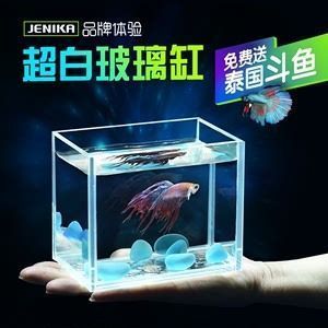 魚缸選哪個品牌好，水族箱過濾系統選擇水族箱過濾系統選擇水族箱過濾系統選擇 魚缸選哪個品牌好，水族箱過濾系統選擇水族箱過濾系統選擇水族箱過濾系統選擇 龍魚百科 第6張
