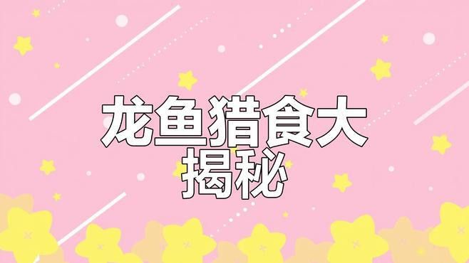 女王大帆被龍魚吃了沒事吧