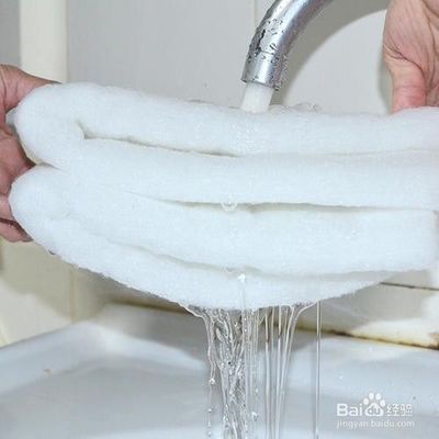龍魚缸濾材多久換一次比較好