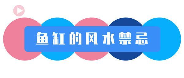風(fēng)水魚缸正對(duì)入戶門好嗎（入戶門風(fēng)水布局技巧魚缸擺放的最佳位置）