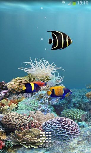 動態(tài)龍魚壁紙有哪些推薦軟件？ 動態(tài)龍魚壁紙有哪些推薦軟件？ 龍魚百科 第6張