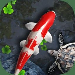 動態(tài)龍魚壁紙有哪些推薦軟件？ 動態(tài)龍魚壁紙有哪些推薦軟件？ 龍魚百科 第4張