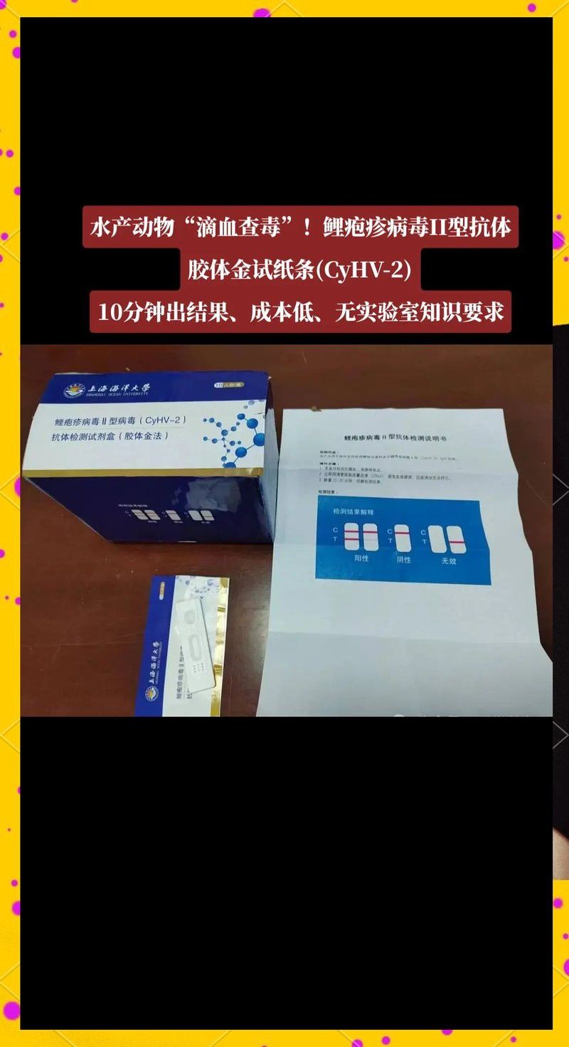 如何判斷龍魚是否感染了黑身松鱗綜合癥？ 如何判斷龍魚是否感染了黑身松鱗綜合癥？ 龍魚百科 第6張