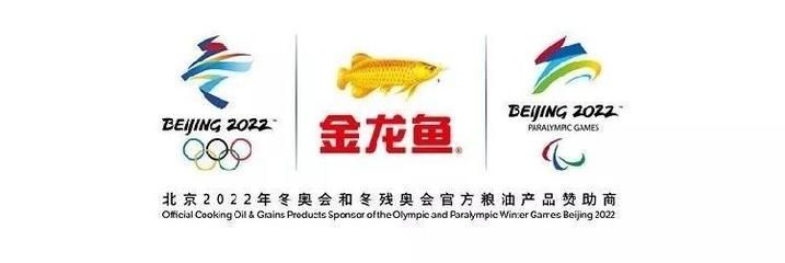 金龍魚logo設計歷程（金龍魚logo設計歷程是一個充滿創新和深思熟慮的過程）