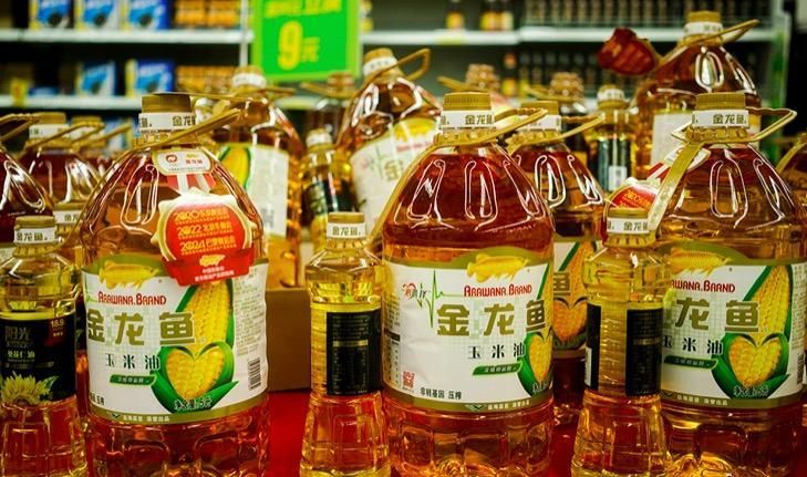金龍魚銷售額超茅臺（金龍魚銷售額已經超過了茅臺）
