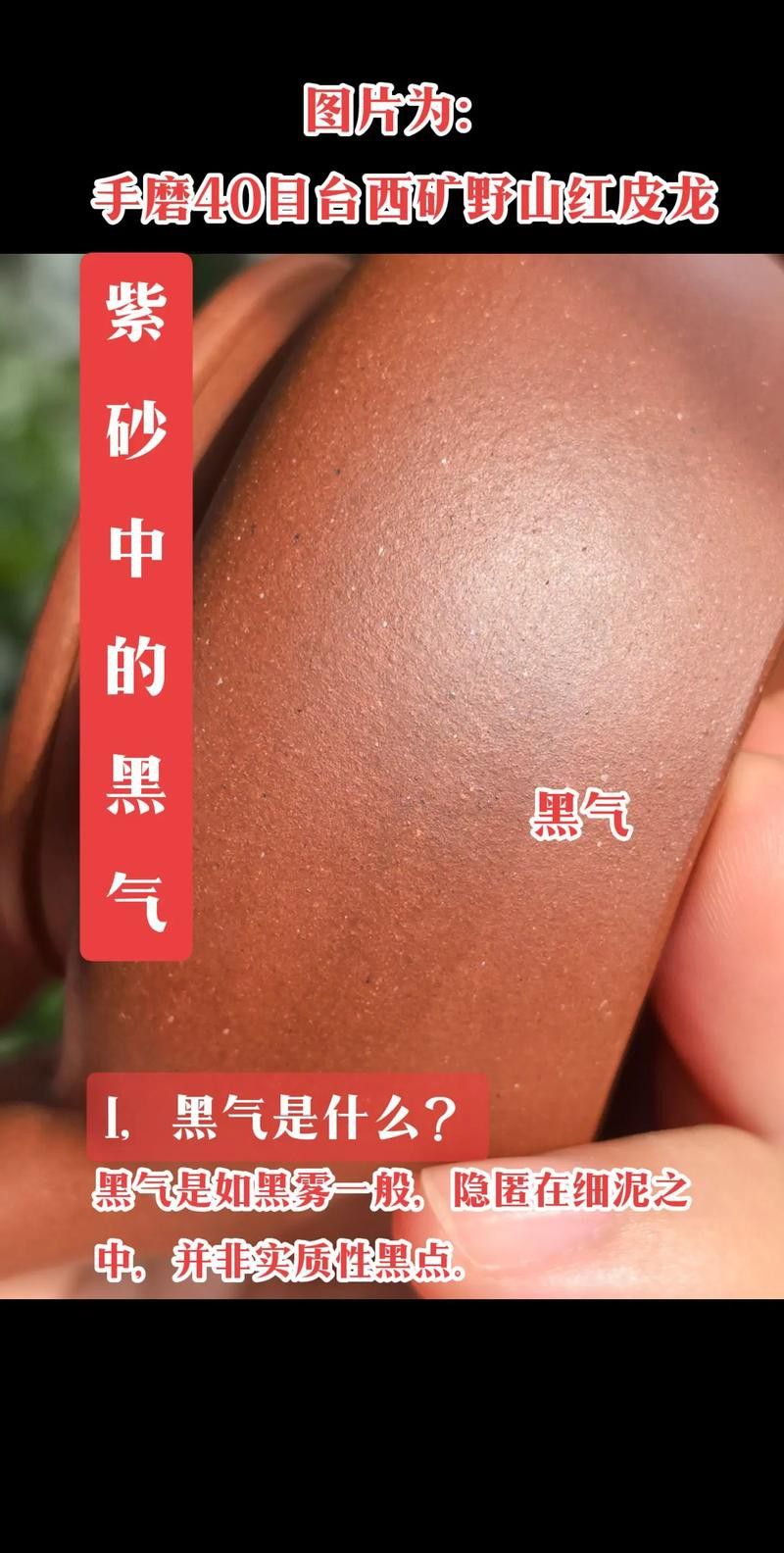 如何鑒別真假紅皮龍和底槽清？