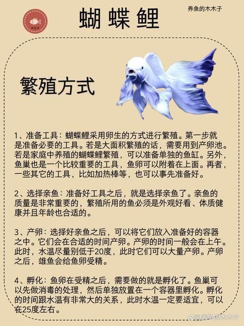 錦鯉蝴蝶魚圖片