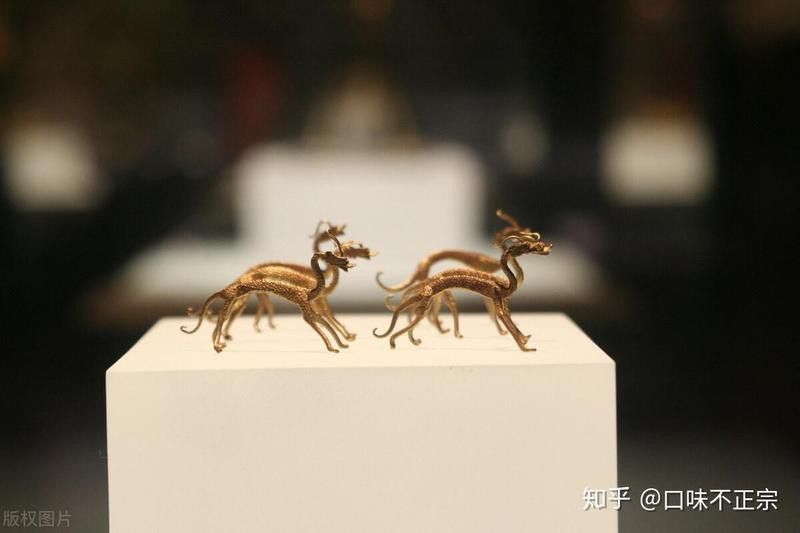 紅龍與陶安公有何關聯？ 紅龍與陶安公有何關聯？ 龍魚百科 第1張
