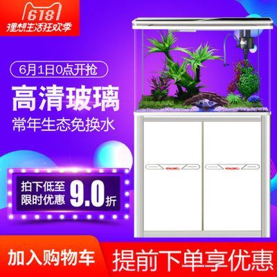 性價比高的龍魚缸：如何選擇性價比高的龍魚缸