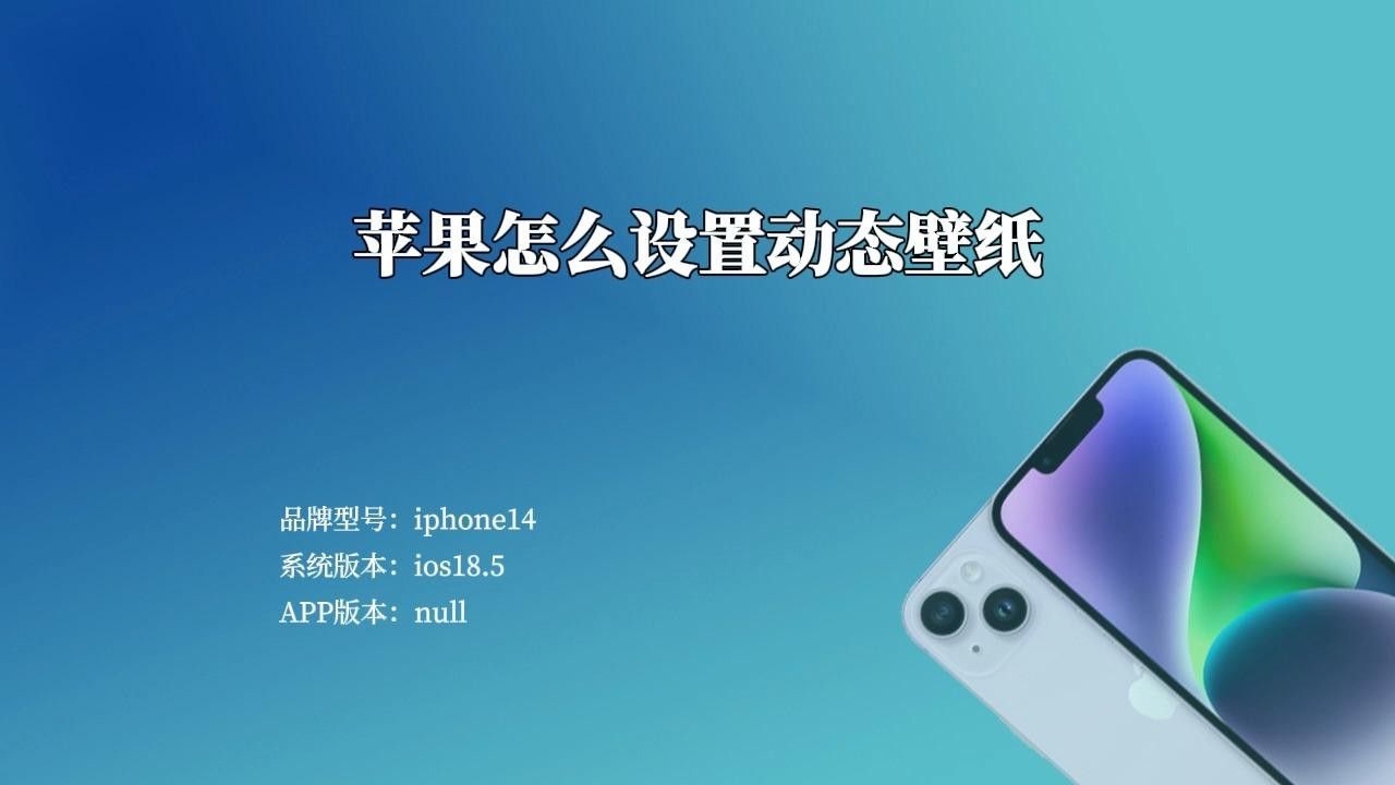 如何設(shè)置動態(tài)龍壁紙？