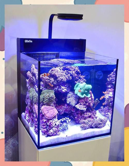 如何改變魚(yú)缸底色？