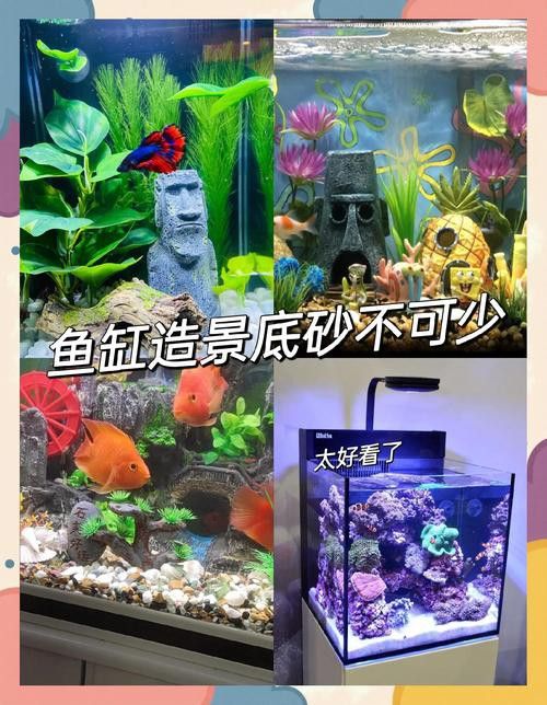 如何改變魚(yú)缸底色？