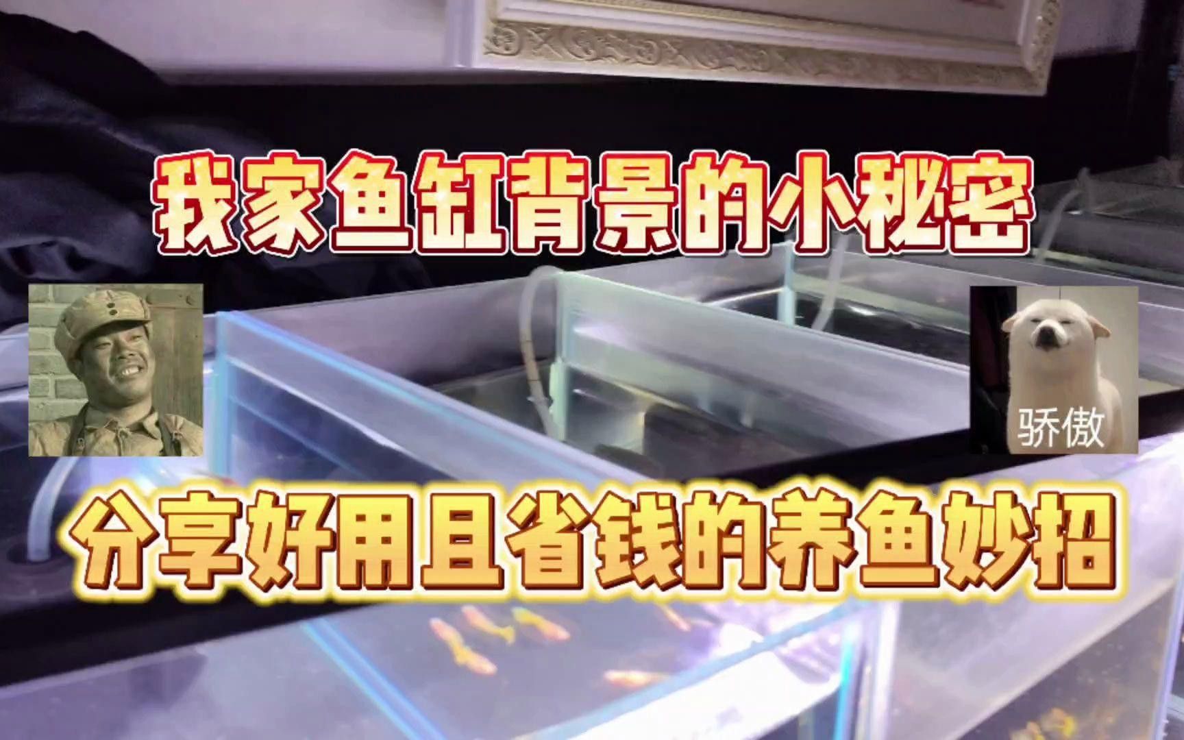 如何改變魚(yú)缸底色？