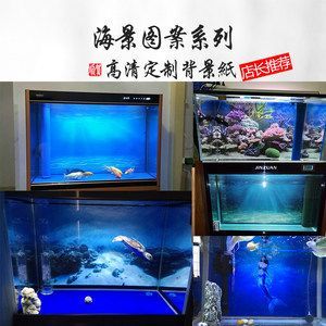 紅龍魚缸背景紙什么顏色好看：紅龍魚缸背景紙什么顏色好看什么顏色好看