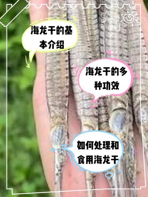 海龍魚干如何泡發(fā)？
