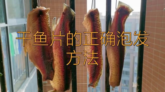 海龍魚干如何泡發(fā)？