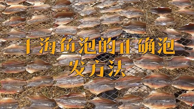 海龍魚干如何泡發(fā)？