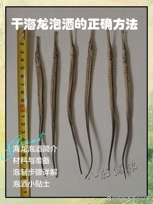 海龍魚干如何泡發(fā)？