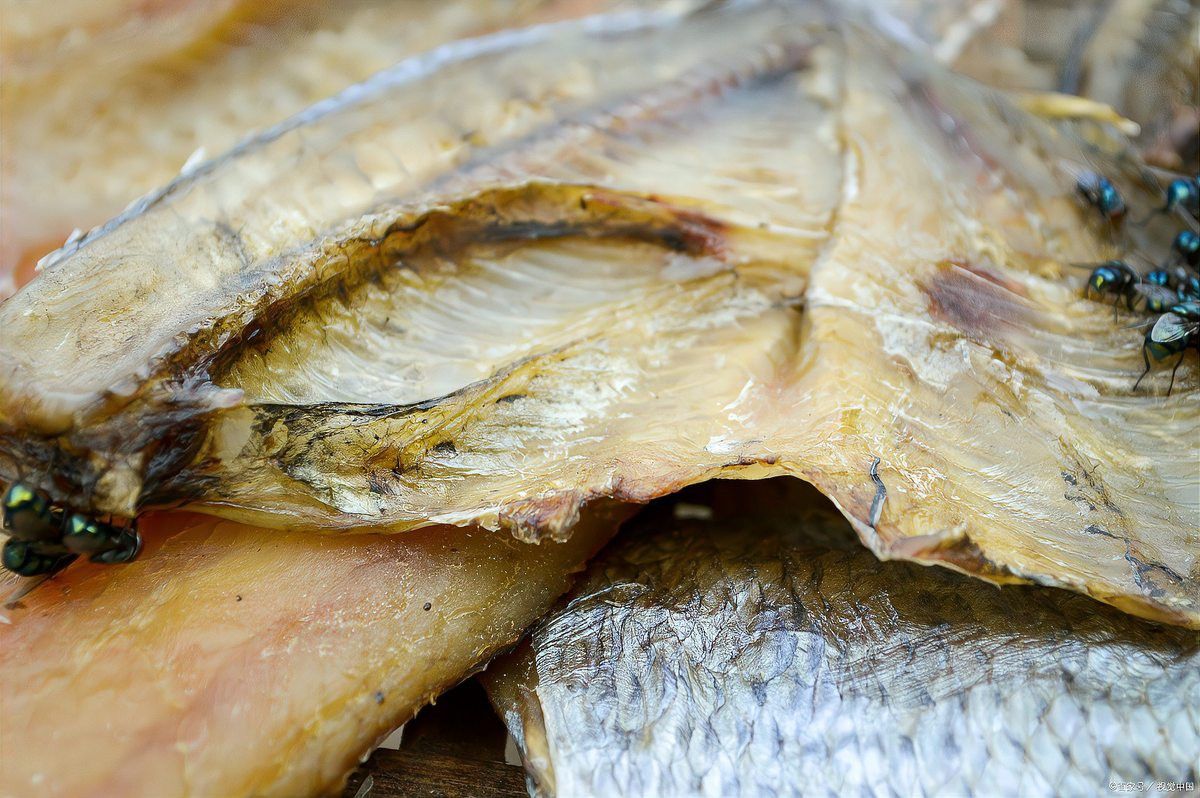 海龍魚干如何泡發(fā)？