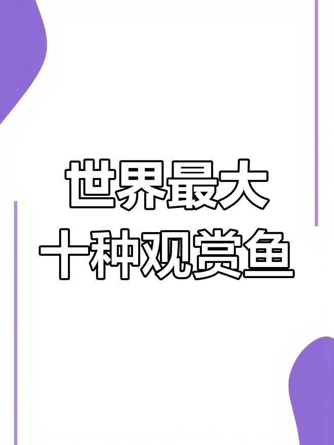 十大大型觀賞魚