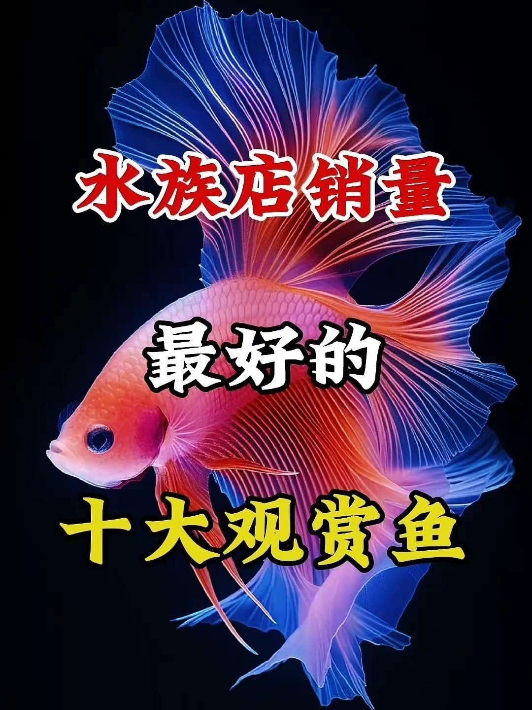 十大大型觀賞魚(yú)