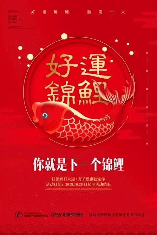 錦鯉白字霸氣圖片