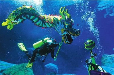 龍魚經常往水下游：龍魚經常往水下游動可能有多種原因及其相應的解決辦法