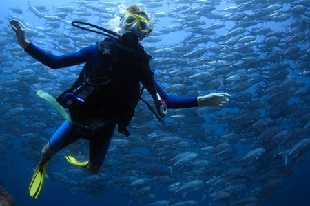 龍魚經常往水下游：龍魚經常往水下游動可能有多種原因及其相應的解決辦法