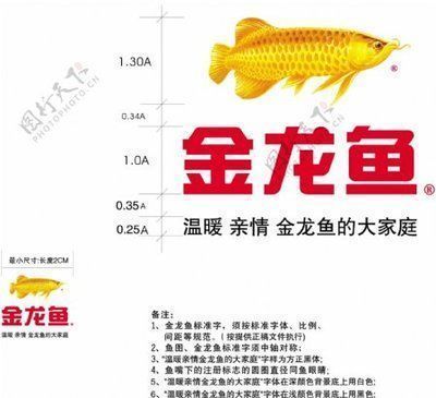 金龍魚尺寸怎么量，如何確定金龍魚的尺寸？ 金龍魚尺寸怎么量，如何確定金龍魚的尺寸？ 龍魚百科 第1張