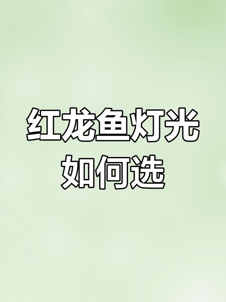 紅龍魚(yú)發(fā)色停滯怎么辦？ 紅龍魚(yú)發(fā)色停滯怎么辦？ 龍魚(yú)百科 第3張