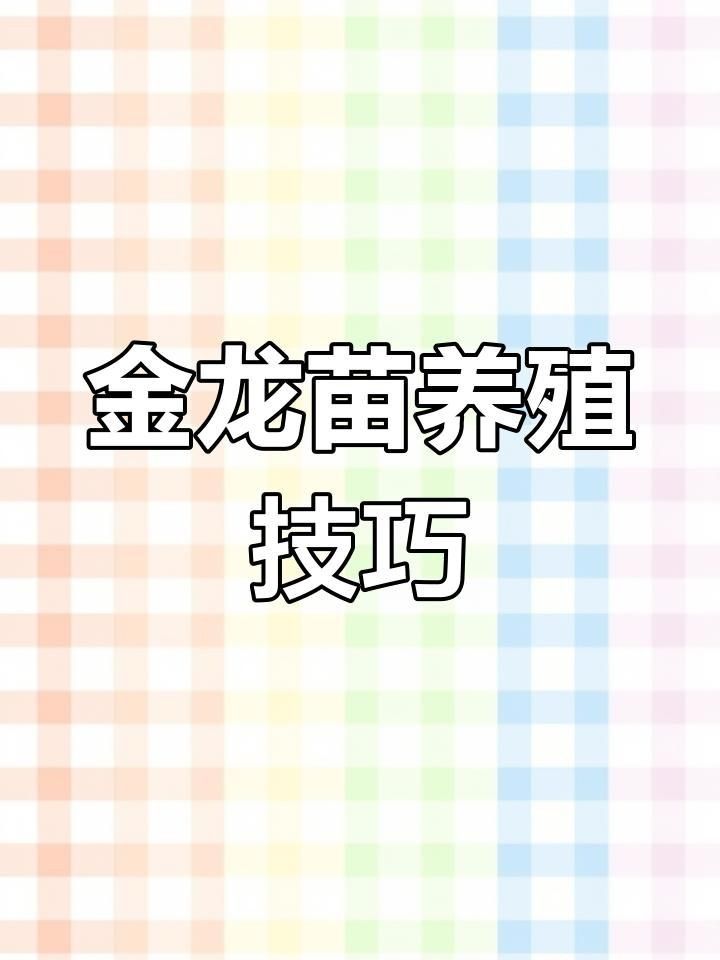 金龍苗成長記錄有哪些要點(diǎn)